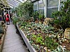 Bild 029.jpg